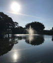 Filename=Untitled-16_copy.jpg
Filesize=117KiB
Dimensions=802x960
Date added=Jul 25, 2018 Untitled-16_copy.jpg