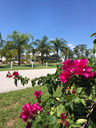 Filename=Untitled-8_copy.jpg
Filesize=146KiB
Dimensions=720x960
Date added=Jul 25, 2018 Untitled-8_copy.jpg