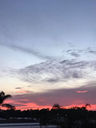 Filename=col4.jpg
Filesize=53KiB
Dimensions=720x960
Date added=Jul 25, 2018 col4.jpg