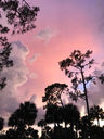 Filename=sunset.jpg
Filesize=107KiB
Dimensions=720x960
Date added=Jul 25, 2018 sunset.jpg